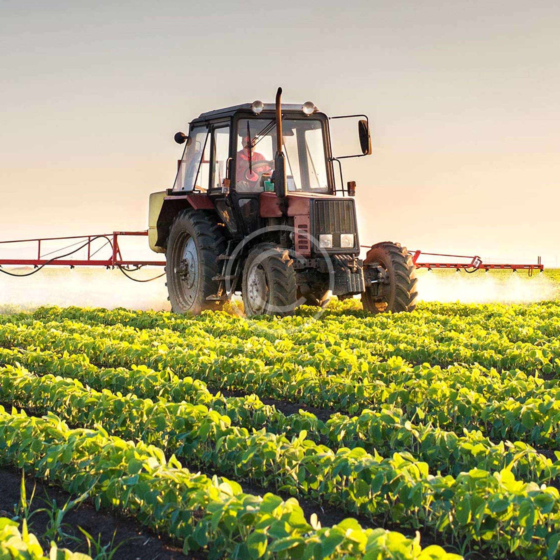  Proyectos de marca privada