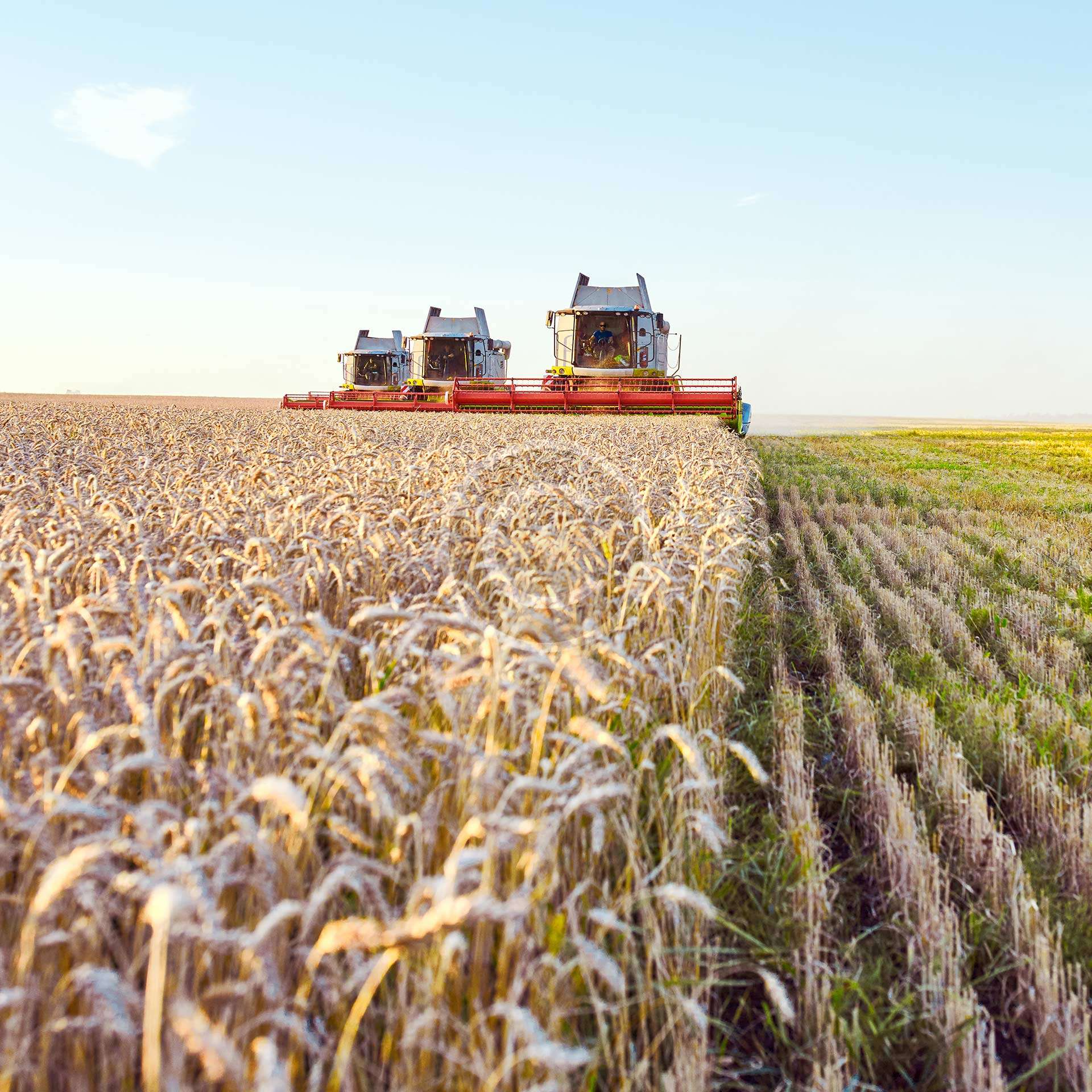  Cumplimiento normativo