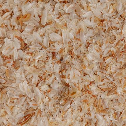 PSYLLIUM HUSK