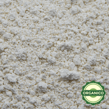 CONCENTRADO DE PROTEINA DE ARROZ INTEGRAL ORGANICO