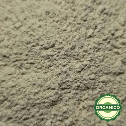 HONGO SHIITAKE EN POLVO ORGANICO