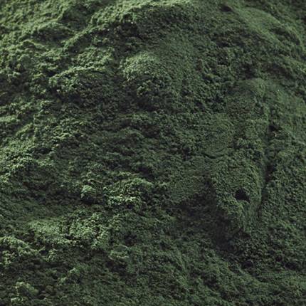 CHLORELLA EN POLVO