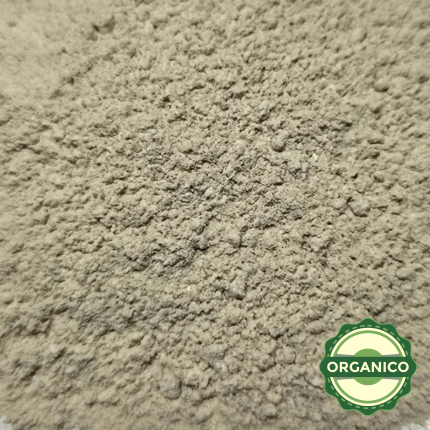 HONGO CORDYCEPS EN POLVO ORGANICO
