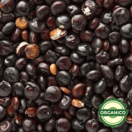QUINOA NEGRA PERLADA ORGANICA
