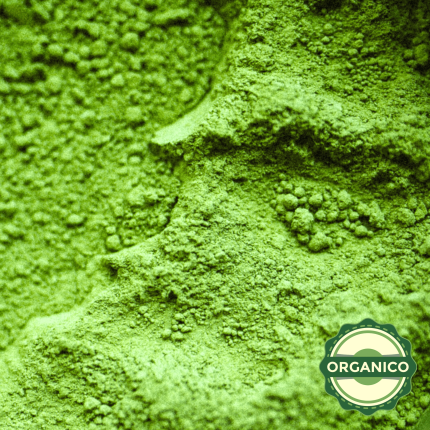TE MATCHA EN POLVO PREMIUM ORGANICO