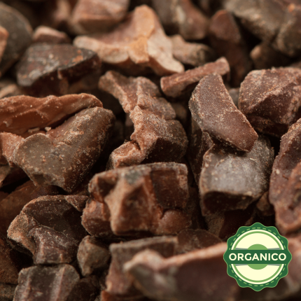 CACAO ORGANICO EN TROZO (NIBS)
