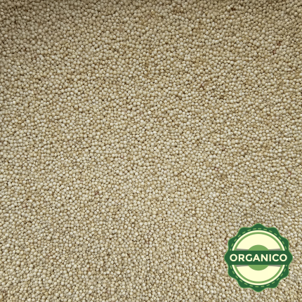 SEMILLA DE AMARANTO ORGANICO PREMIUM
