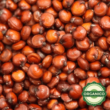 QUINOA ROJA PERLADA ORGANICA