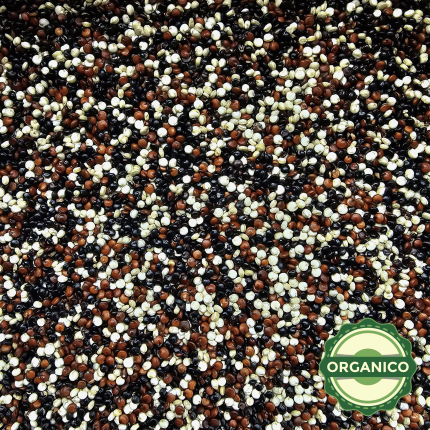 QUINOA TRICOLOR ORGANICA