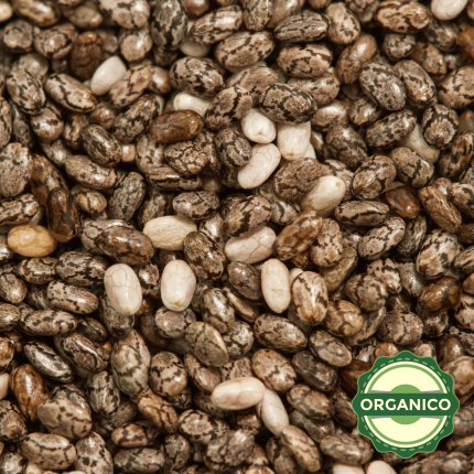 CHIA NEGRA PINTA ORGANICA PREMIUM