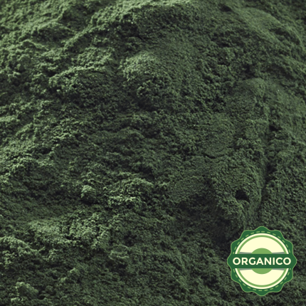 CHLORELLA ORGANICA EN POLVO